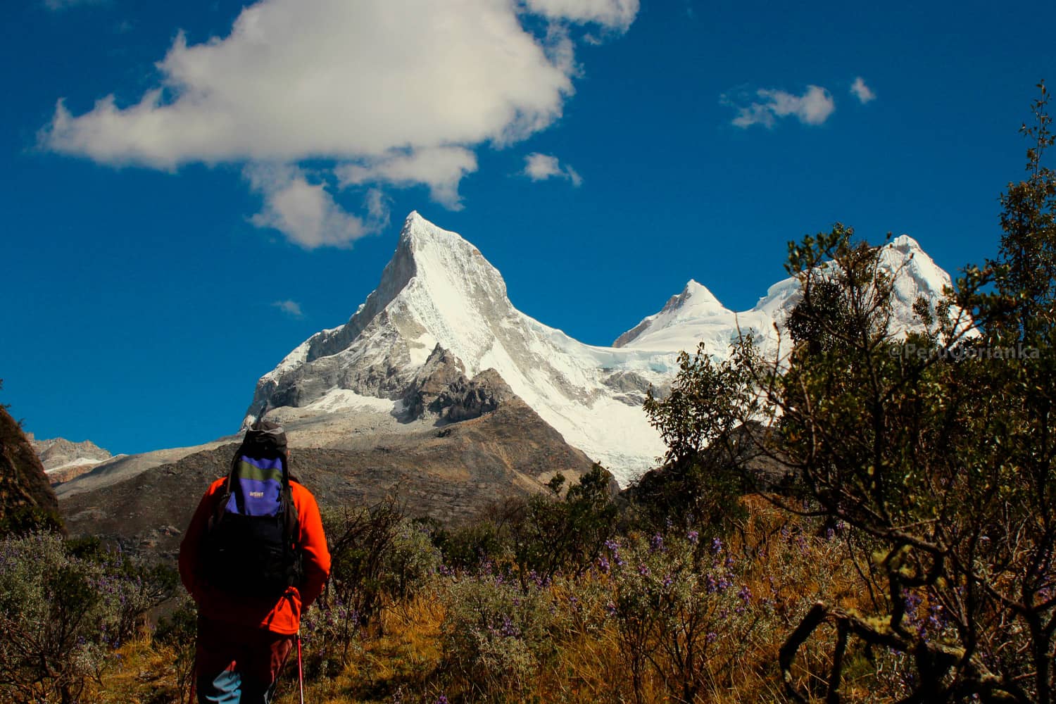 Day Tours in Cusco and Machupicchu, full days season 2025| Qorianka